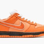 Nike dunk low Concepts  Orange Lobster - Sneakers Outlet Co