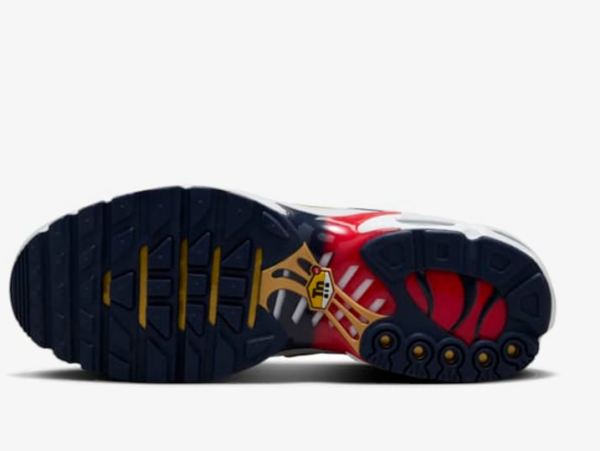 Nike Air Max Plus PSG s